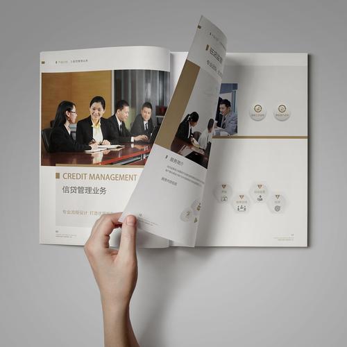 深圳市金融联信息咨询画册&产品画册